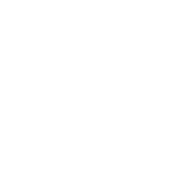 Our Values icon